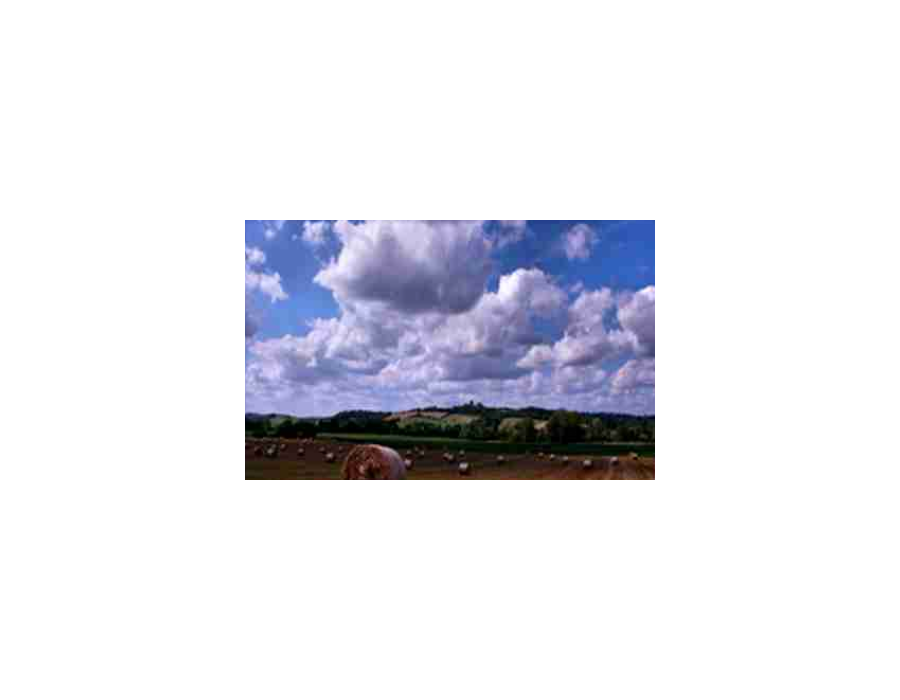 Cumulus